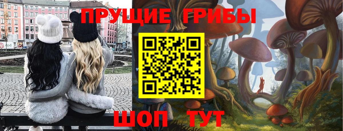Псилоцибиновые грибы Psilocybine cubensis  Вход с VPN  Комсомольск-на-Амуре  Псилоцибиновые грибы ЛСД 