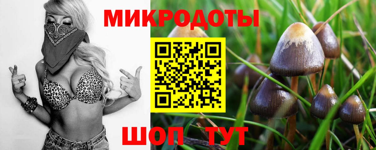 Псилоцибиновые грибы мухоморы Комсомольск-на-Амуре