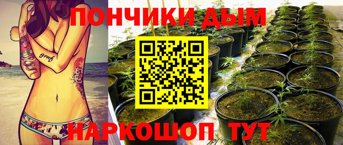 Шишки марихуана MAZAR  Вход с VPN  Шишки марихуана гибрид  Бошки марихуана THC 21%  Комсомольск-на-Амуре  Канабис гибрид 